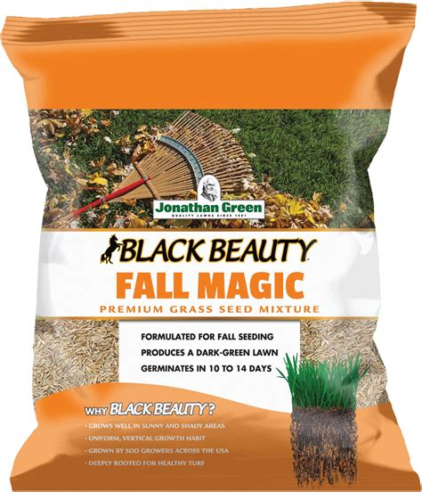 Sable beauty fall magical lawn seed